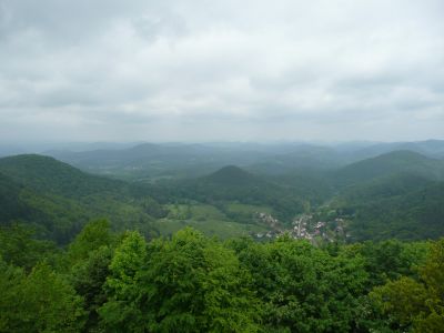 Ausblick