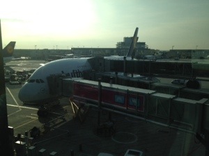 20130927-210112.jpg