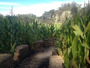 20130929-221840.jpg