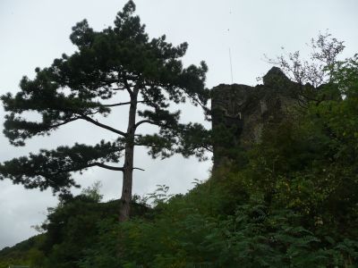 P1080741