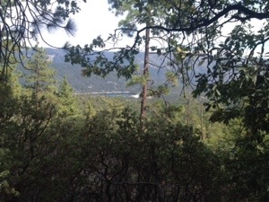 20131002-065748.jpg