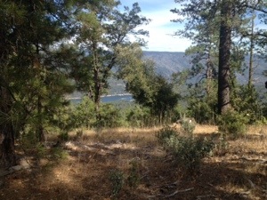 20131002-065915.jpg