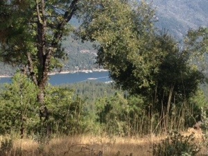 20131002-065941.jpg