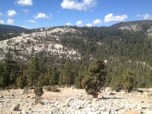 20131002-221335.jpg