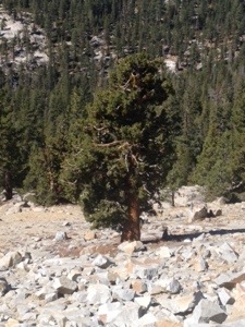 20131002-221425.jpg