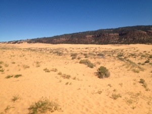 20131006-230903.jpg