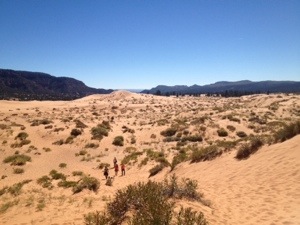 20131006-231001.jpg