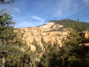 20131007-223554.jpg