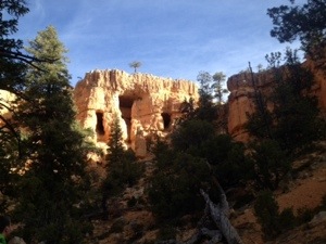 20131007-223653.jpg