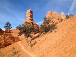 20131007-223805.jpg