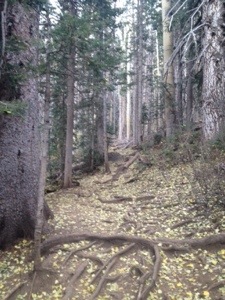 20131009-195147.jpg