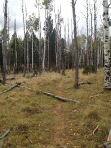 20131009-195820.jpg
