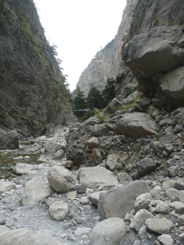20140720-193906-70746456.jpg