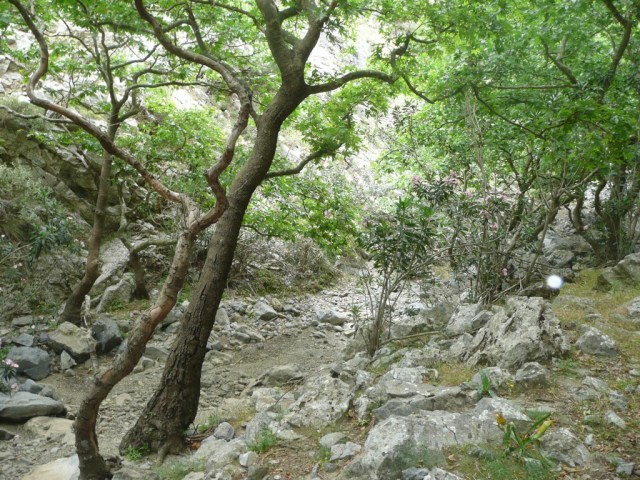 20140720-201140-72700317.jpg