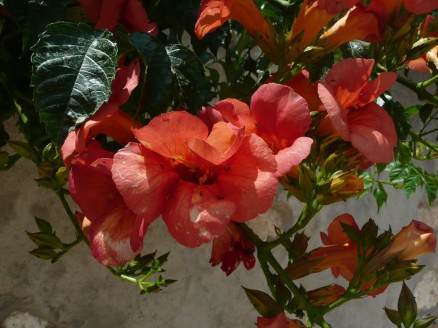 20140720-225015-82215145.jpg