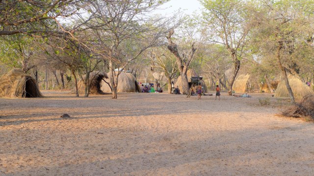 20 -1-5