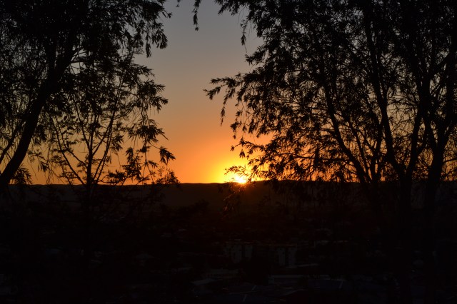 DSC_0002
