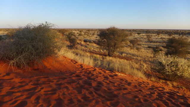 P1000650