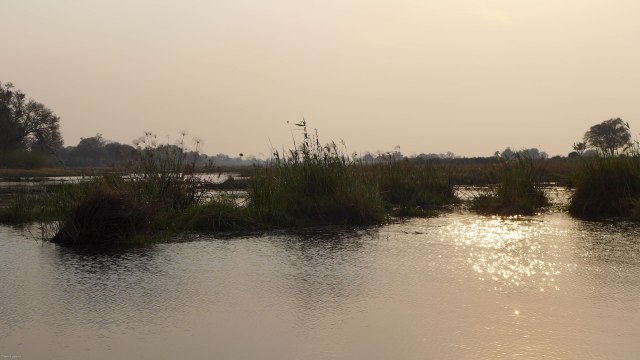 17 -1-20
