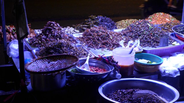 p1030182