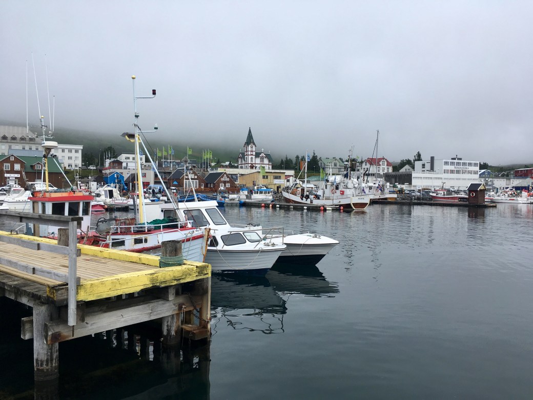 Island – 8. Tag Husavik und die Tjörnes&nbsp;Halbinsel
