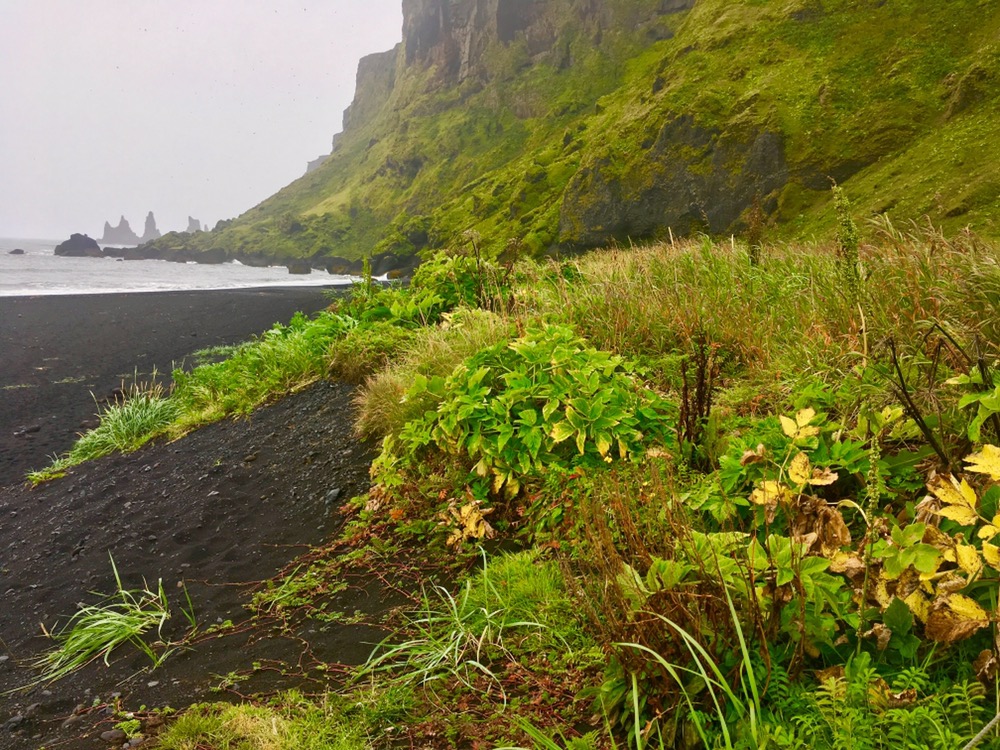 Island – 13. Tag Hrifunes – Vik –&nbsp;Hrifunes