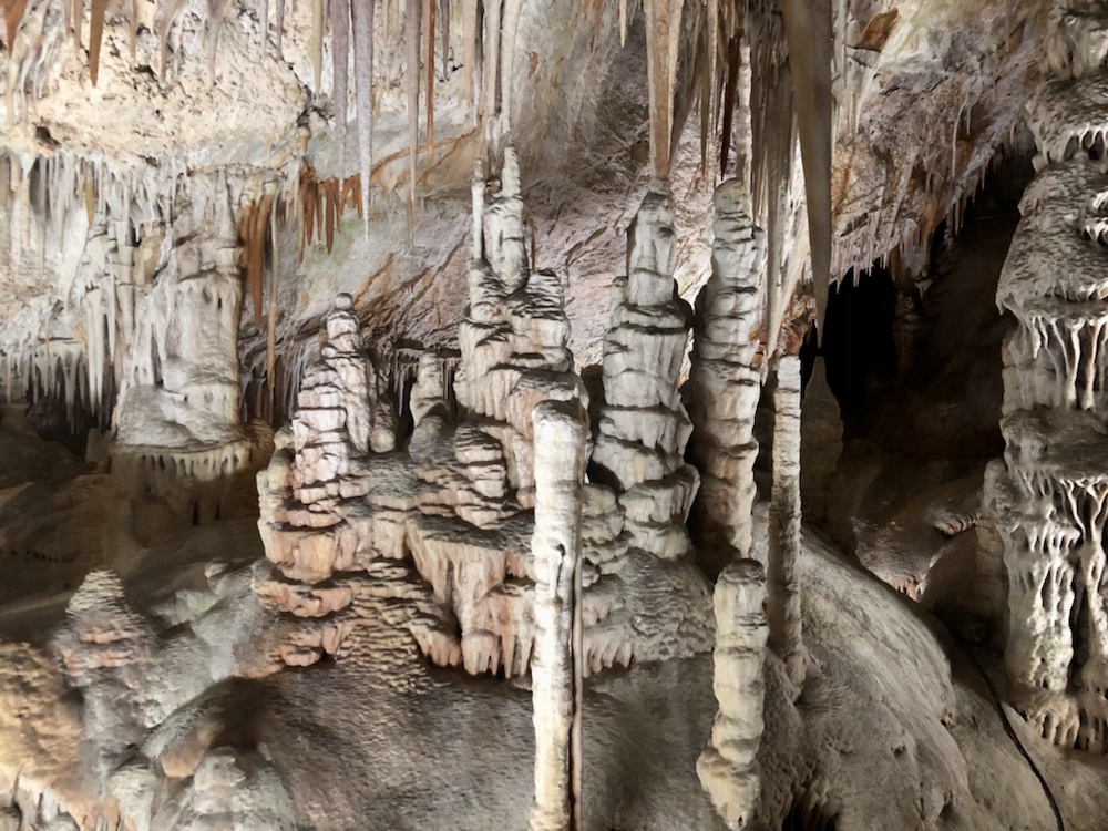 11.03. – 18.03.2022 Mallorca – 2. Tag: Coves de Campanet und Palma de&nbsp;Mallorca