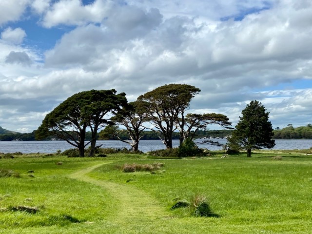 15.05.2022 – 06.06.2022 Irland – 7. Tag: Killarney