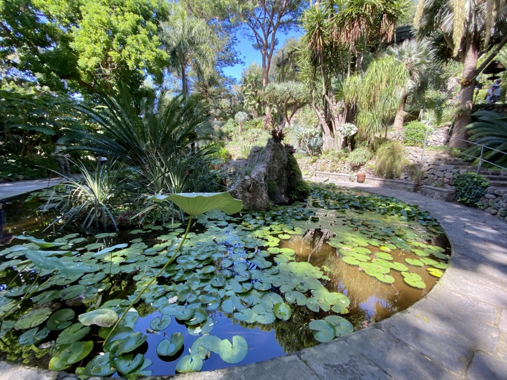 01.10.2022-14.10.2022 Ischia – 2. Tag: Botanischer Garten „La Mortella“