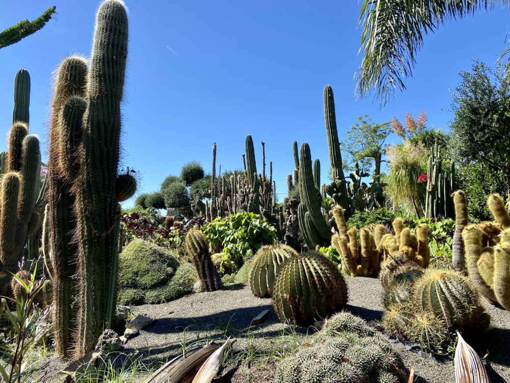 01.10.2022 – 14.10.2022 Ischia – 5. Tag: Giardini Ravino, Forio