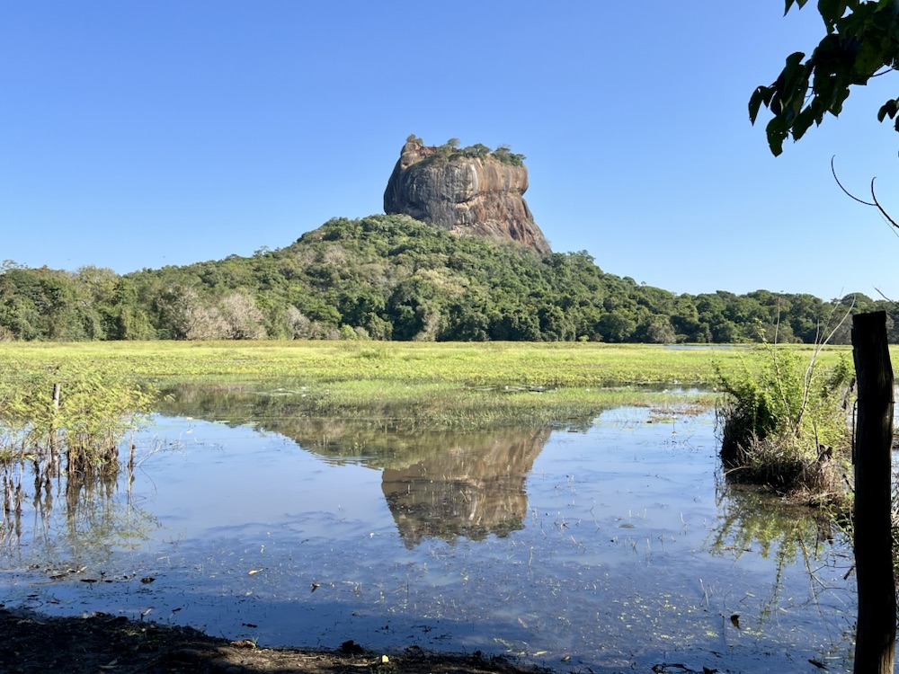 10.03.2024 – 31.03.2024 Sri Lanka – 9. Tag: Der Löwenfelsen von Sigiriya und&nbsp;Elefantensafari